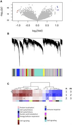 Gene Expression Signatures Identify Biologically Homogenous Subgroups of Grade 2 Meningiomas